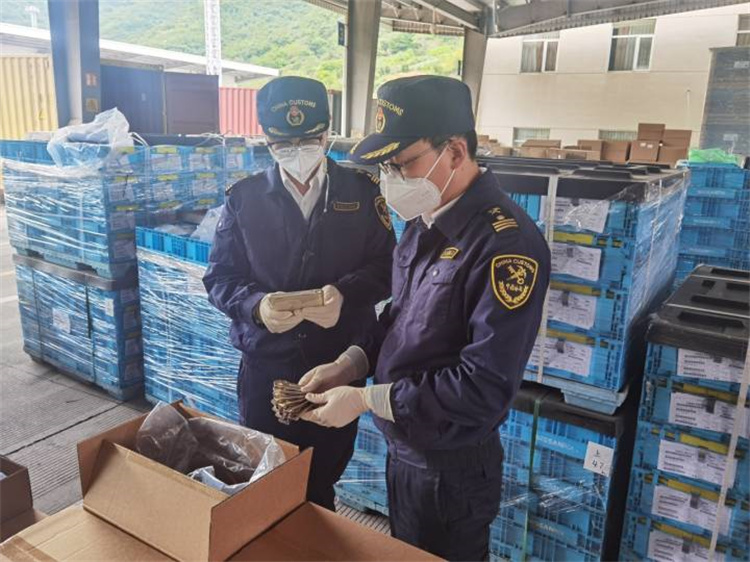 Промовирање на надворешната трговија за да се обезбеди стабилност и да се подобри квалитетот Ningbo Царината издаде 20 